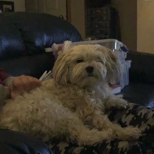 Meet your Posher, Emma